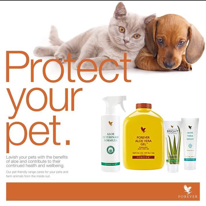 AloeDominique's tweet photo. Look after your pets as well as yourself. #aloevera is totally natural so your pets can be happy and healthy too #pets #healthy #wellbeing #foreveraloevera #foreverliving https://t.co/BhkyAVe8td