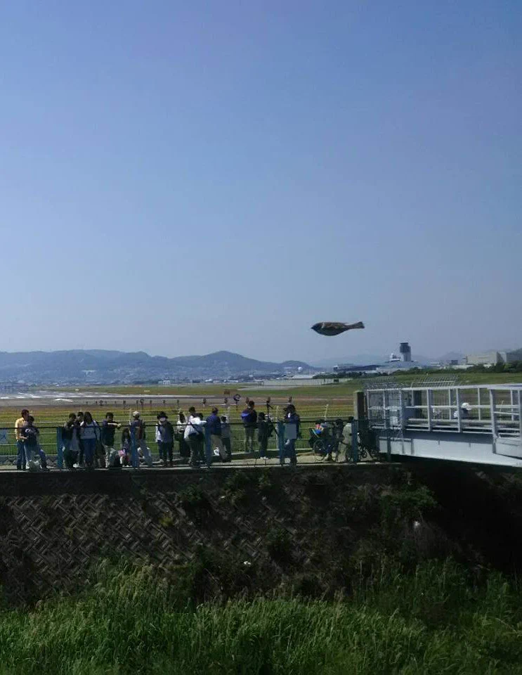 これは貴重すぎるｗｗｗ　飛行機撮影のつもりが、まさかのモノを撮影ｗｗｗ