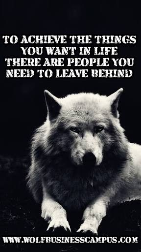 dancarsonwolf's tweet image. 