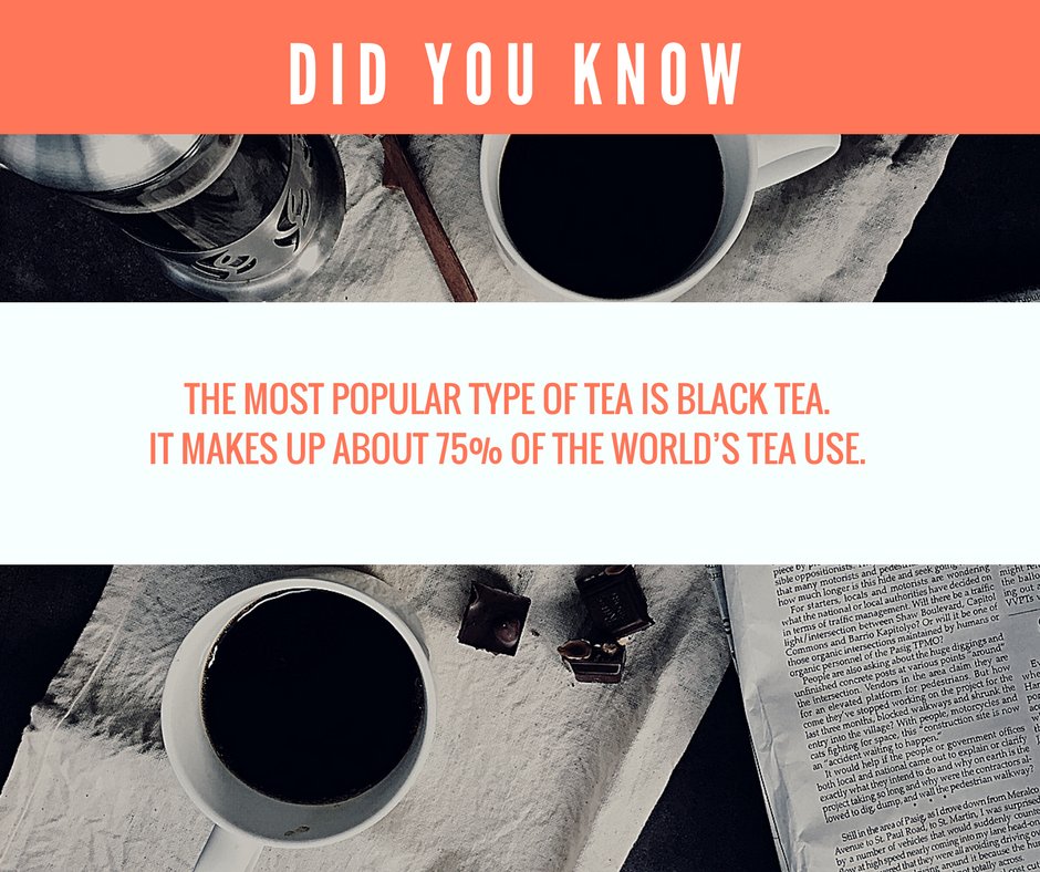 BrewletteCo's tweet photo. #didyouknow #3 #brewlettebrews #tealife #ilovetea #teaiseverything #healthy #drink #blacktea #teastagram #teaholic #teaknowsbest #likesforlikes https://t.co/nibDo1xHxc