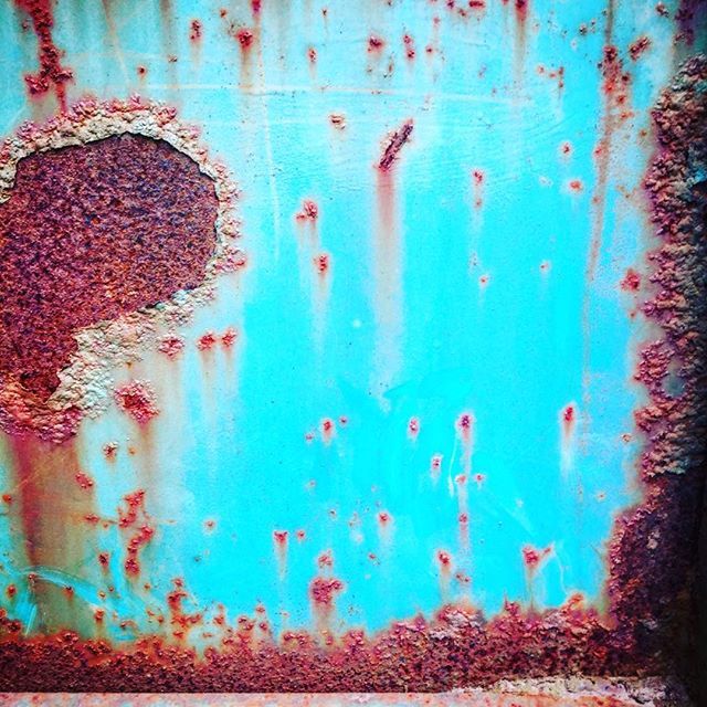 fatblackcatspaw's tweet photo. Glorious colour on skip #colourhunting I was early to meet a friend yesterday so had a wee wander around in #Bellevue https://t.co/6OslBWM3Cr https://t.co/pw8zOdACR1