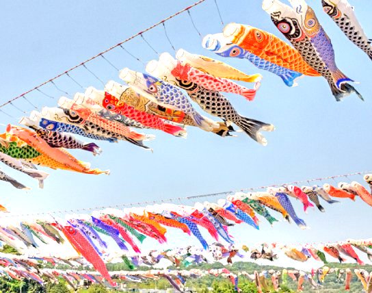 鯉のぼりとは いつからいつまで飾る 値段は 鯉のぼりのお祭りも紹介 オマツリジャパン あなたと祭りをつなげるメディア