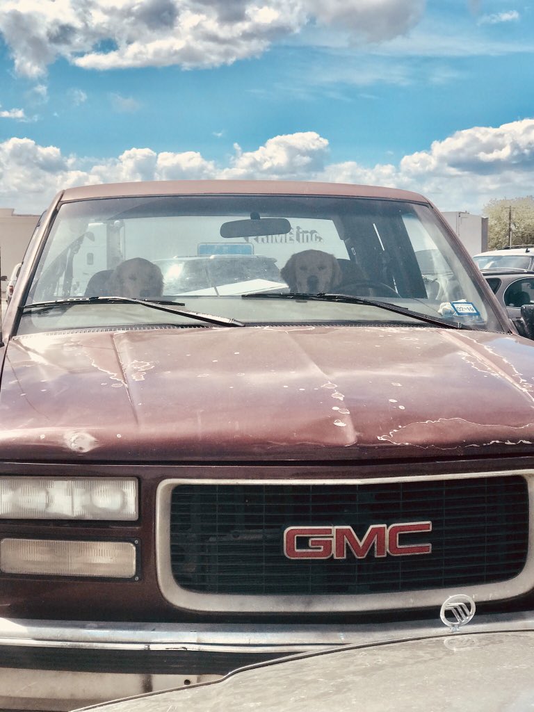 carliharlow's tweet photo. get in loser, we’re going shopping. https://t.co/ig9QhFSGYW