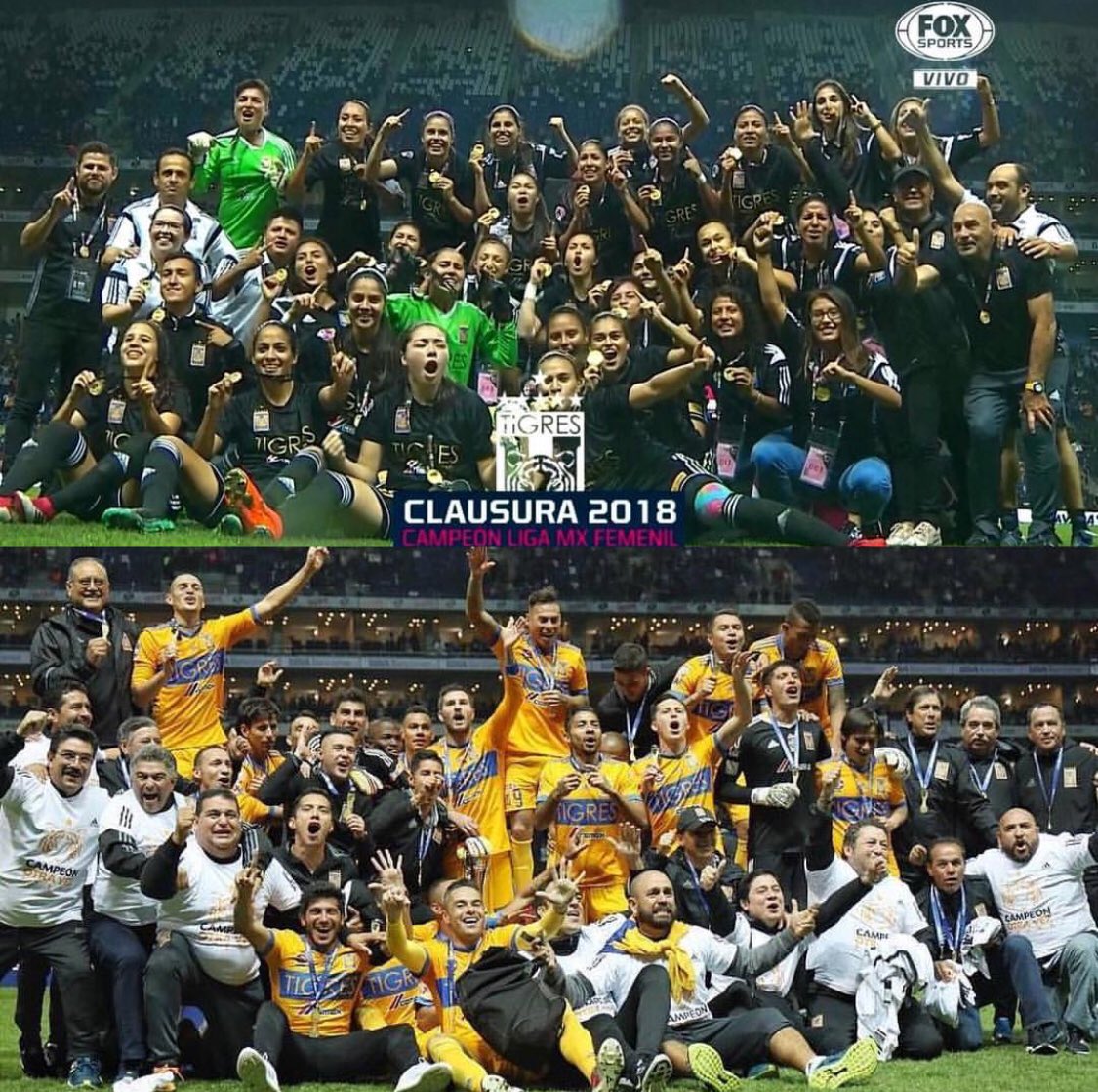 jurgendammr25's tweet photo. Muchas felicidades @TigresFemenil sigamos poniendo a 🐯en lo más alto⚽️🏃‍♀️🏃‍♂️🏆 https://t.co/8UwUD7ZQcH