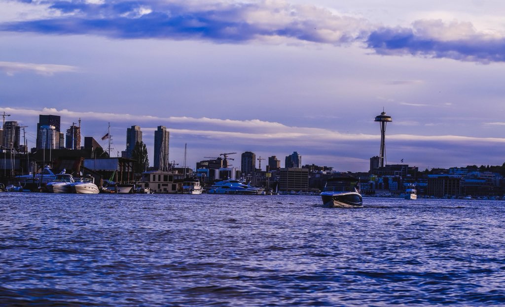 Wayne P. Roche (@RocheWayne) | Twitter