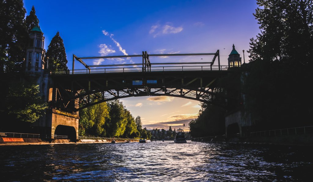 Wayne P. Roche (@RocheWayne) | Twitter