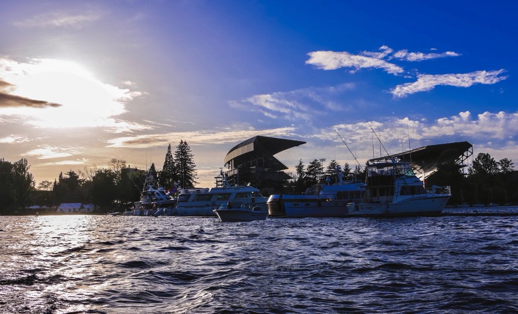 Wayne P. Roche (@RocheWayne) | Twitter