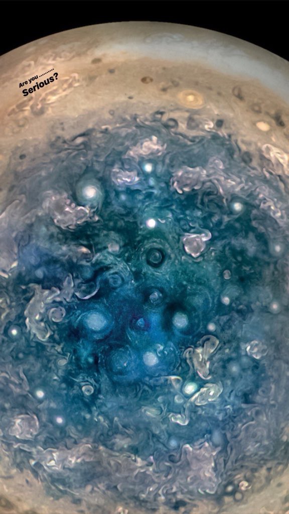 ArianatorFallen's tweet photo. We love Jupiter on @ArianaGrande Instagram Stories. They are looking real good here 😍 https://t.co/W920p6yjrk