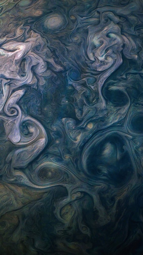 ArianatorFallen's tweet photo. We love Jupiter on @ArianaGrande Instagram Stories. They are looking real good here 😍 https://t.co/W920p6yjrk