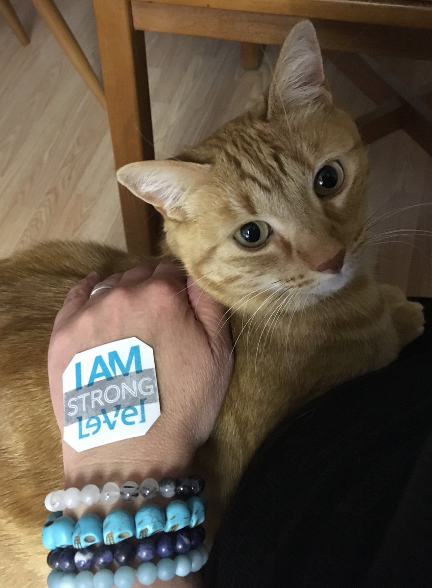 ZenJen68's tweet photo. Dharma says “Behind every strong woman is an amazing thrive-kitty.” 😹But seriously, my #thrive has helped me get through the unexpected challenges so far this year (&amp; for that both Dharma &amp; I are #grateful) Ready to #thrivewithme ? Msg me or comment for your #freesample #health https://t.co/9c3XxRNmA2
