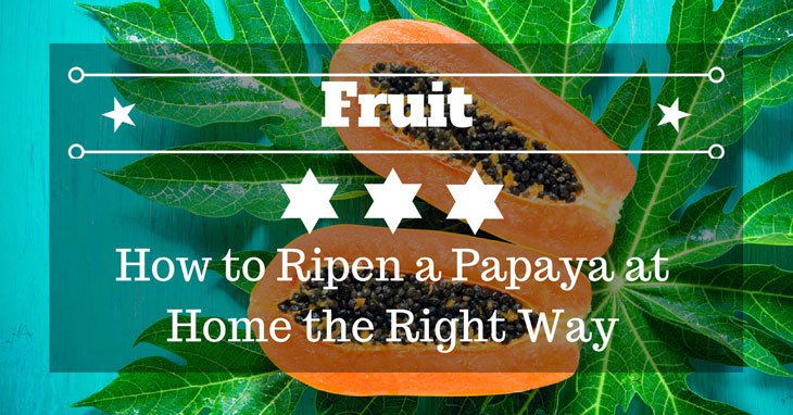 Ella Wilson tweet media