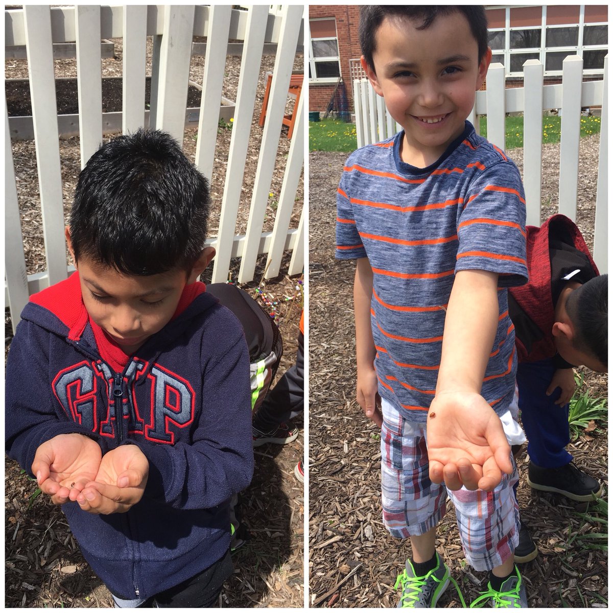 ArreguinsClass's tweet photo. Gracias a @madisongarden44 los niños se disfrutaron liberando mariquitas en el jardín. https://t.co/DnsuUWpFVm