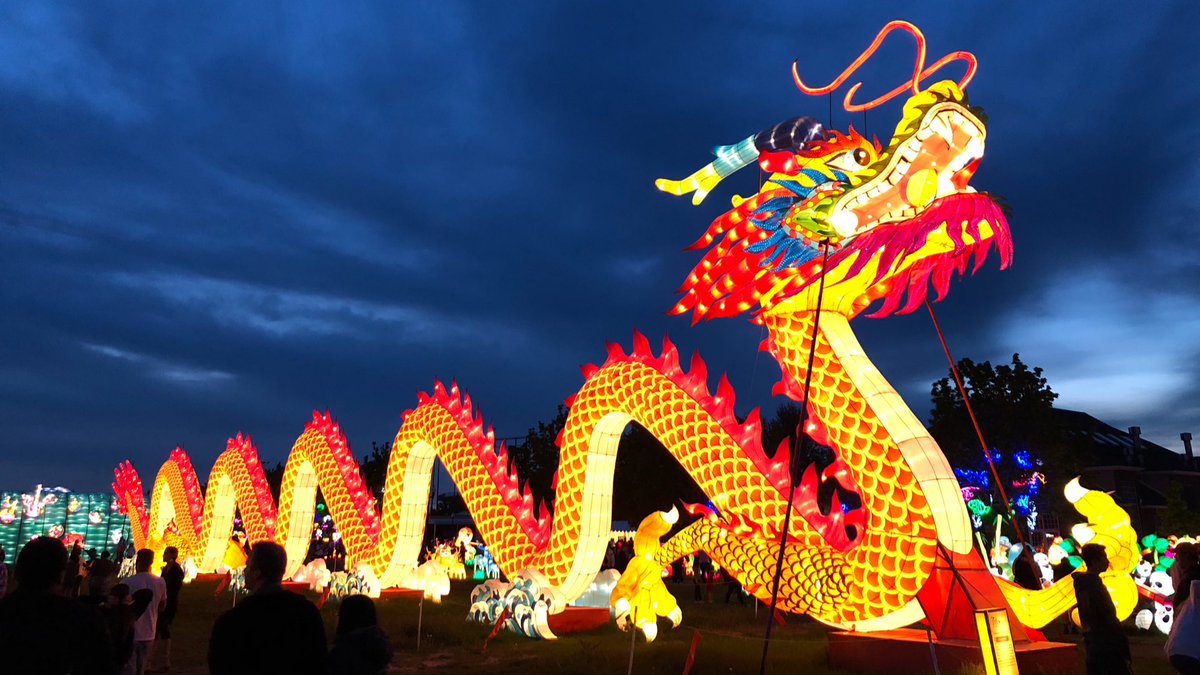 knappst3r's tweet photo. Bitchin’ dragon, man. 🐉🏮#dragonlights https://t.co/htB2OtX6y8