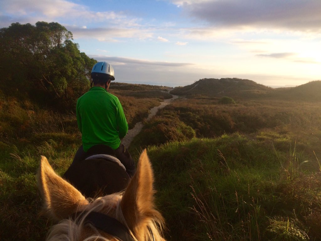 Outdoornomaden's tweet photo. #reiten in #neuseeland gehört einfach dazu und wir werden es echt vermissen einfach mal zum #sonnenaufgang an den Strand zu reiten... https://t.co/FUgoXQfpdf