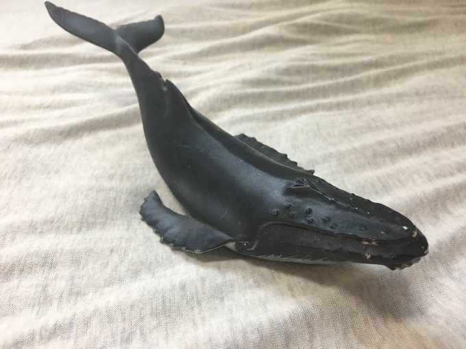 ザトウクジラのtwitterイラスト検索結果 古い順