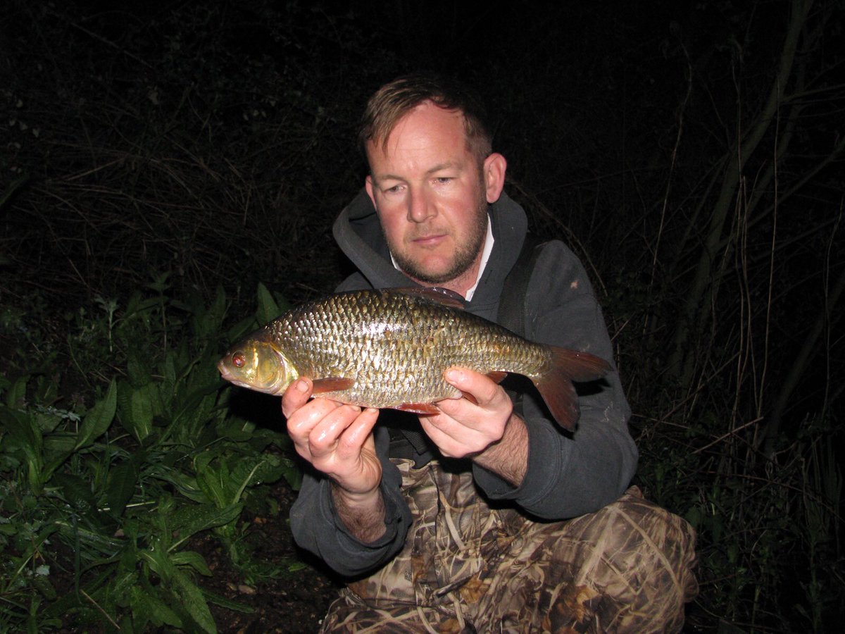 JamesHowes7's tweet photo. My biggest roach of the spring so far at 2-01 #rosch #fishing #angling #coarseangling https://t.co/GyZEcETYCm