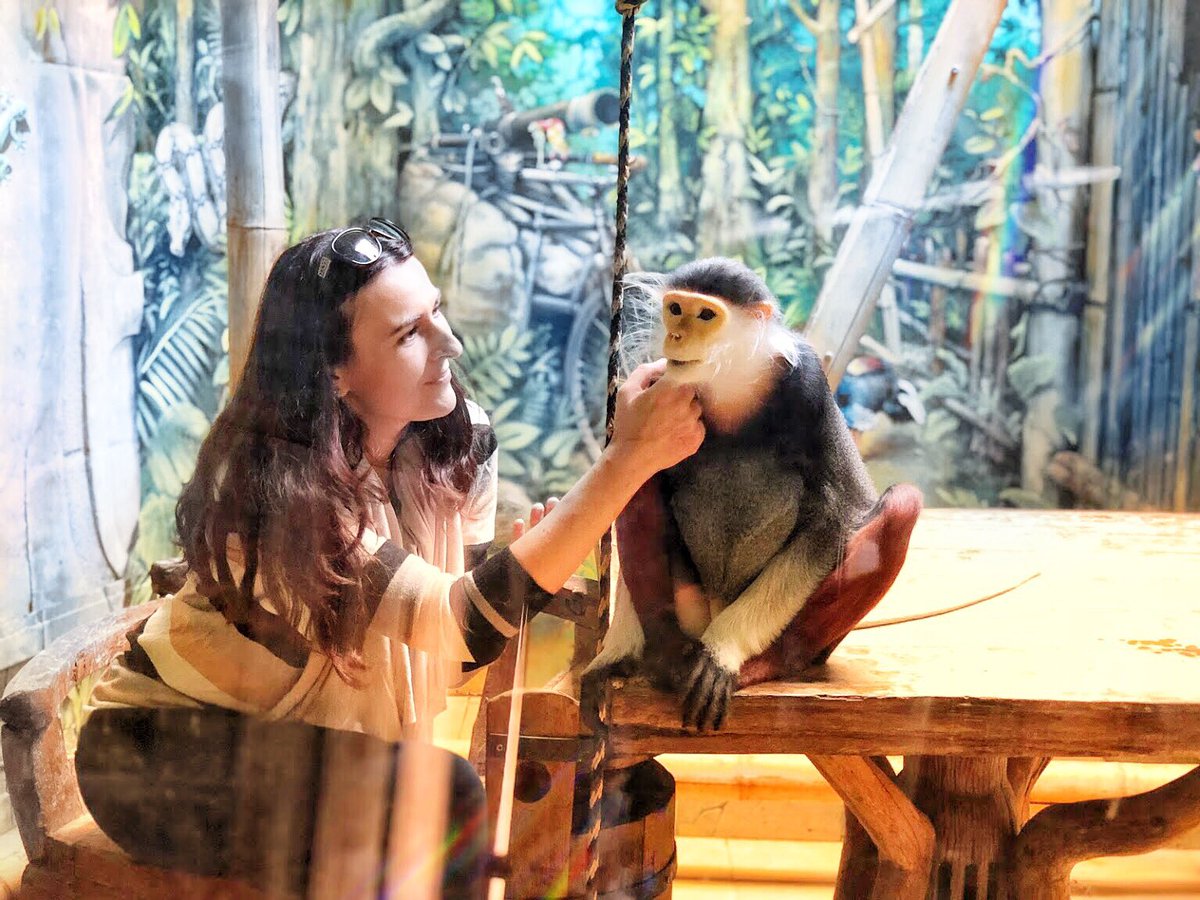 sichtarova's tweet photo. Langur duk je jedna z nejvzácnějších opic. Mimo Asii je ve světových ZOO jen 5 jedinců, z nich 3 v české ZOO Chleby: Samec a dvě samice, obě březí! A já mám tu čest tulit se s naším SuperSamcem.
#free4ever #pikosichta #langur #langurduk #Pygathrixnemaeus #monkey #monkeys #langurs https://t.co/NiMTU4UNCj