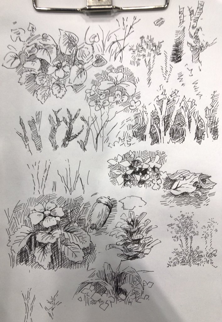 何もしてないと一瞬で( ˘ω˘)スヤァ してしまうのでずっとナゾ樹皮とかナゾ山とか落書きしてます… 