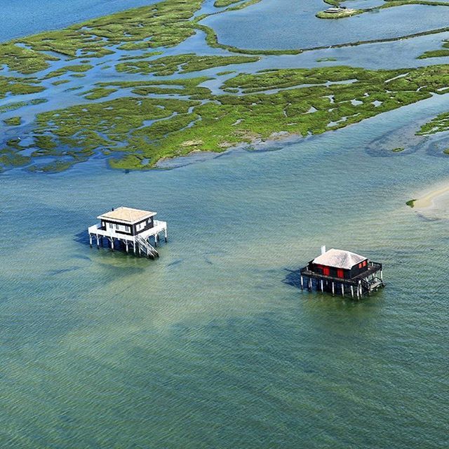 TVBA_fr's tweet photo. Une vue d’en haut des Cabanes Tchanquées #bassindarcachon #ile #oiseaux #beautiful #cabane #bois #echasse #vue #espritbassin #view #landscape #nature #magic #instanature #sudouest #igersfrance #france #magnifique #beautifulview https://t.co/RaUkKzmuRa https://t.co/bzlAklnG7t