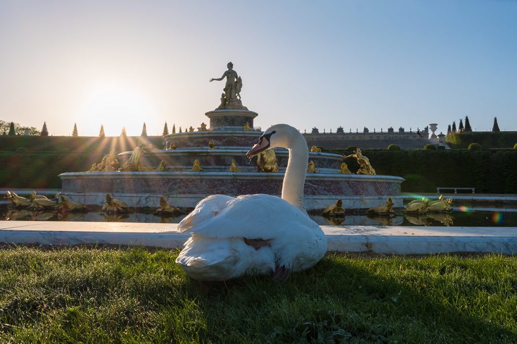 Lever du jour sur le bassin de Latone // Sunrise on the Latona fountain ☀️