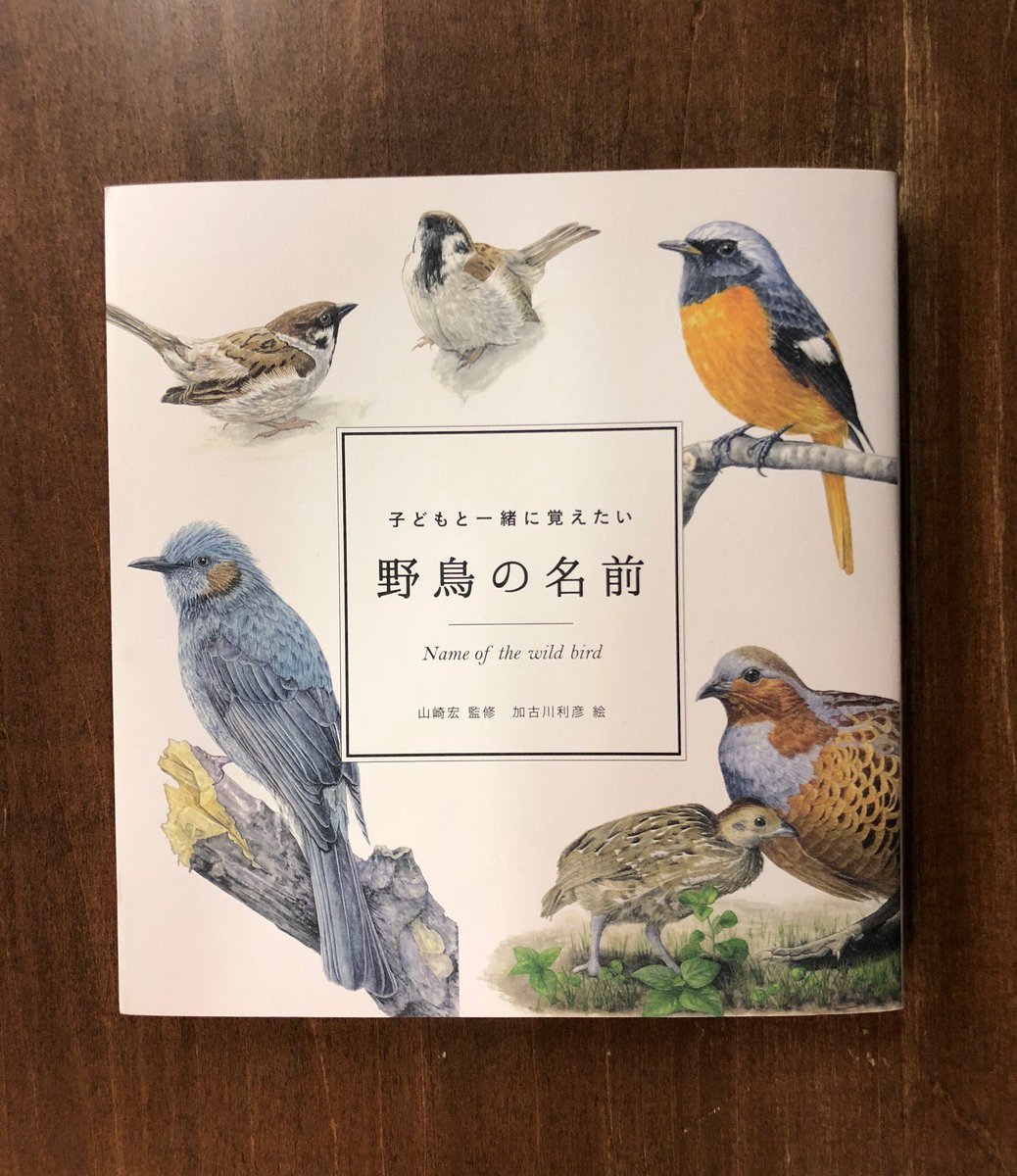 Title タイトル در توییتر 野鳥の図鑑は数多くあるが イラストや写真が美しく 程よい数が載っているといえばこれ その特徴や見かけやすい場所 間違いやすい鳥など些細だが 助かることがたくさん書いている 人気です 子どもと一緒に覚えたい 野鳥の名前 Title タイトル در توییتر 野鳥の図鑑は数多くあるが イラストや写真が美しく 程よい数が載っているといえばこれ その特徴や見かけやすい場所 間違いやすい鳥など些細だが 助かることがたくさん書いている 人気です 子どもと一緒に覚えたい 野鳥の名前