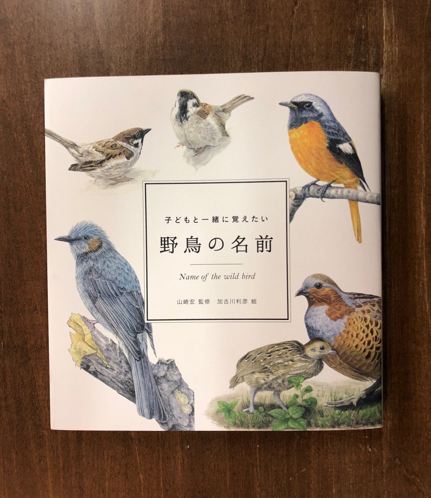 توییتر Title タイトル در توییتر 野鳥の図鑑は数多くあるが イラストや 写真が美しく 程よい数が載っているといえばこれ その特徴や見かけやすい場所 間違いやすい鳥など些細だが 助かることがたくさん書いている 人気です 子どもと一緒に覚えたい 野鳥の