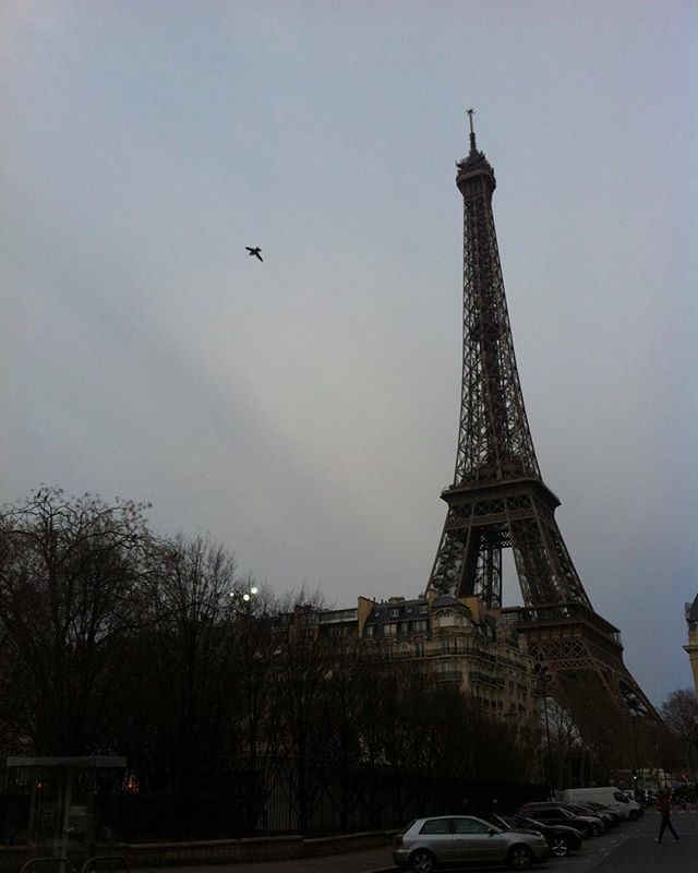 mmeouioui's tweet photo. Trocadéro Eiffel Tower エッフェル塔 #tower #towereiffel #paris #parisjetaime #paris🇫🇷 #parisphoto #parispic #parisienne #loveparis #iloveparis #instaparis #instapic #instagood #instanice #instatour #toureiffel #instatower https://t.co/rGjm1RACuv https://t.co/k54MUD66nN