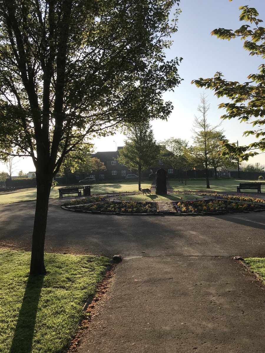 Gorgeous morning ☀️