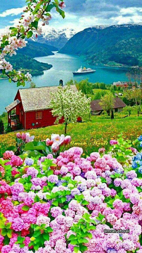 Selamun aleyküm Bir avlu istiyorum...
Bir kıyı...
Sessiz sakin bir balkon..
Ve HUZUR.
Hayırlı sabahlar dostlar mutlu bereketli haftasonları inşallah