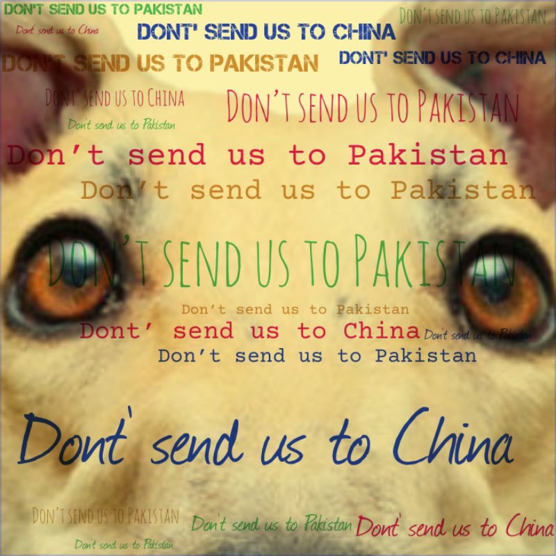 Daddynige01's tweet photo. #StopTheExport https://t.co/pyx35xjcHP