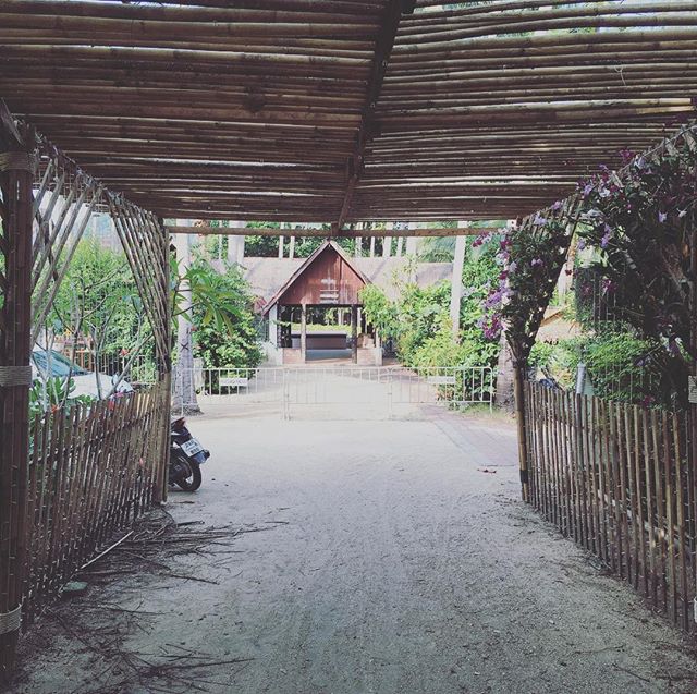 Found this little beach cabin hidden away in the palm trees 🌴 #clevertravelcompanion #clevertravel #beachlife #oceanview #seaview #smarttravel #islandlife #asia #travel
