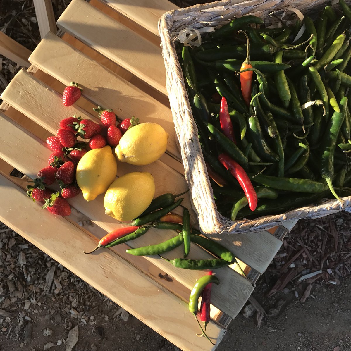floraheartSA's tweet photo. We love the fresh smells and bright colours of the ingredients that go into our Flora Craft margarines. #LiveMoreLife #FloraCraft #ShongweniMarket https://t.co/53LQBCShng