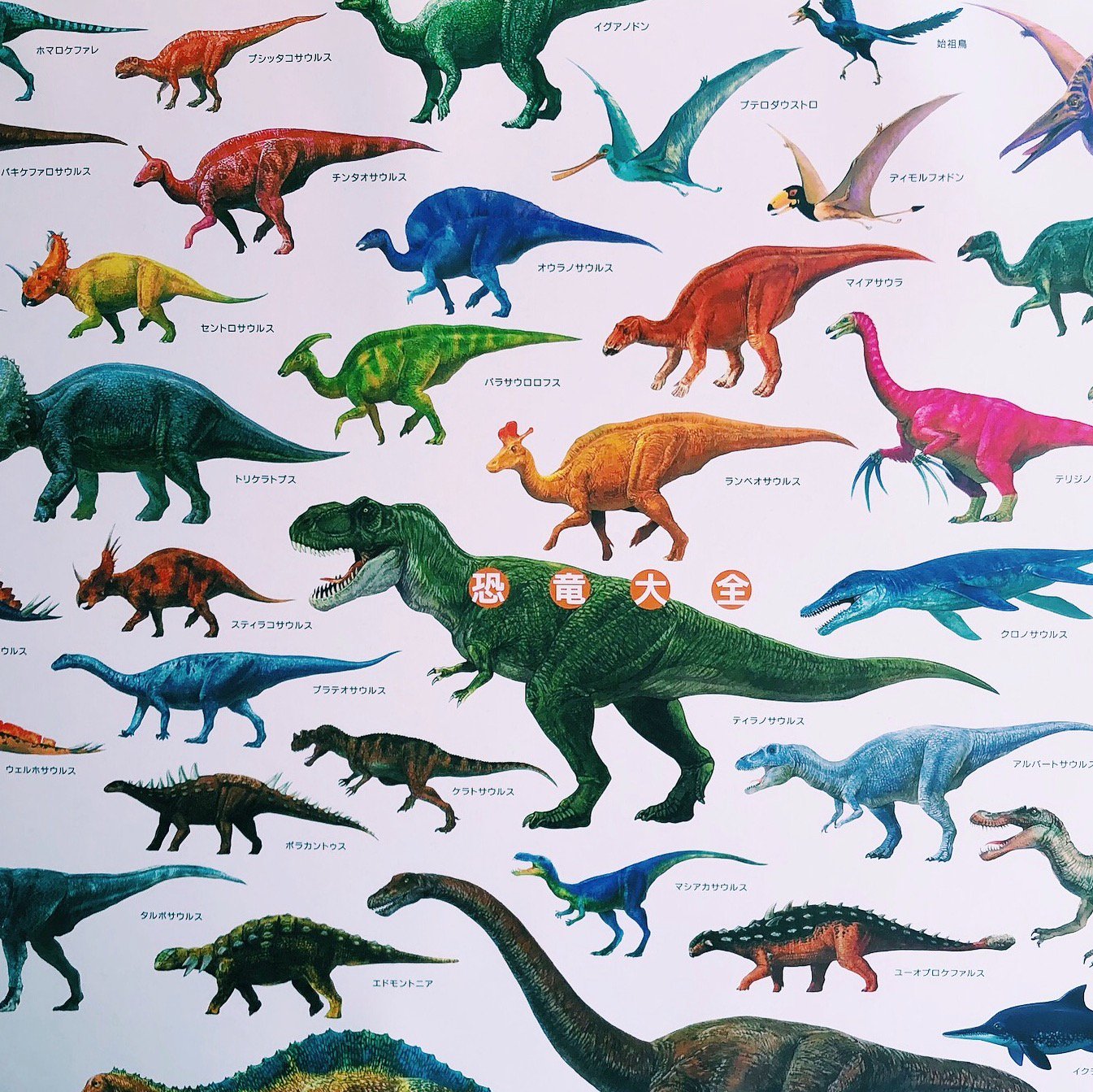 福岡市科学館 公式 Ar Twitter 5階ミュージアムショップで販売中の恐竜グッズのご紹介です 恐竜大全ポスター 消費税込 756円 お風呂場にも貼れる大判ポスター 裏面をお湯か水で濡らして空気を抜くように貼り付けてご使用いただけます 福岡市科学館 恐竜