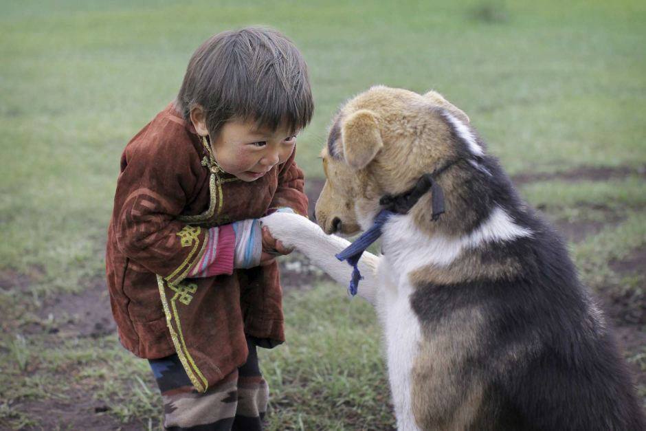 inthemoodfortw's tweet photo. Boy from Mongolia with pet dog Β© Timothy Allen https://t.co/mkAtn9ajKY
