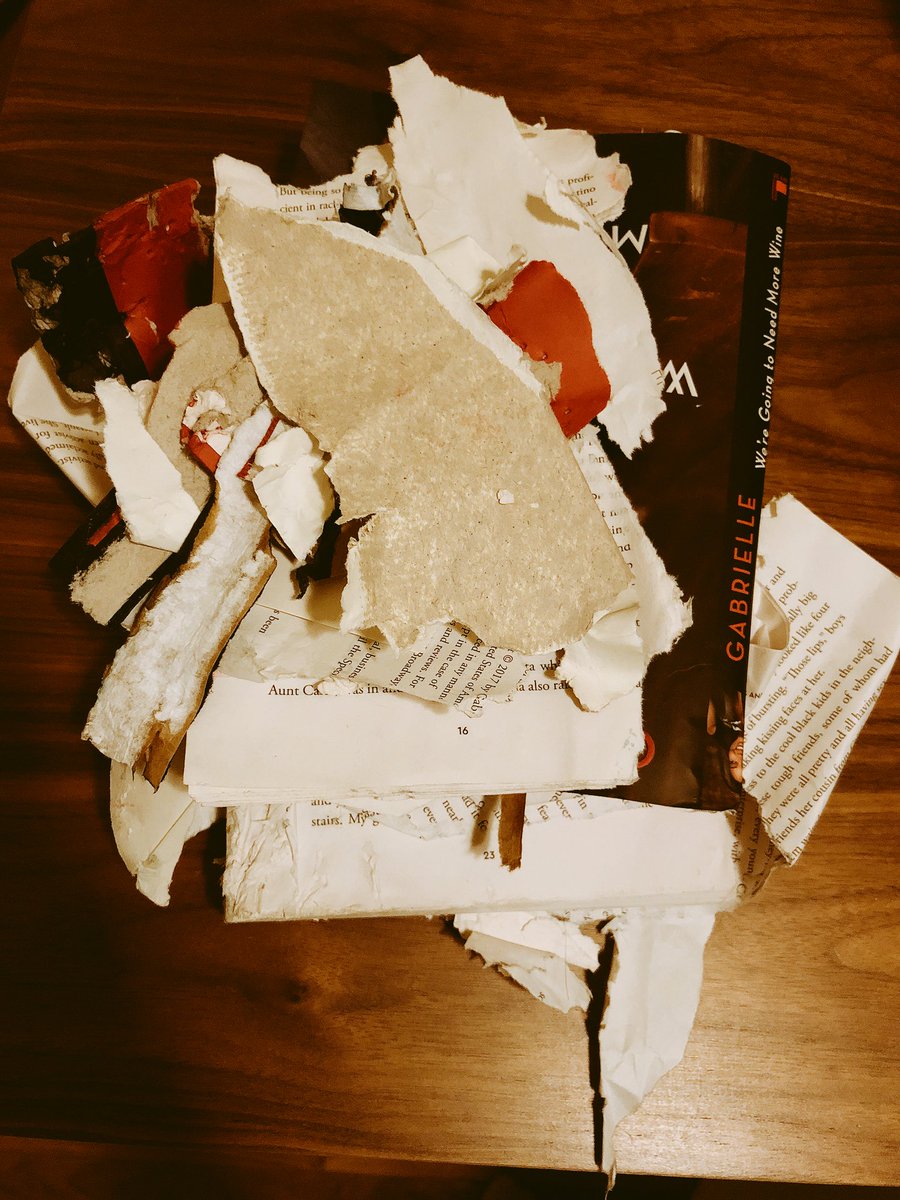 awdawn's tweet photo. I love my pup, but he’s a jerk.. I didn’t even get to finish @itsgabrielleu book and he decided I was already done. 🤬😭 https://t.co/G21U7dEIw1
