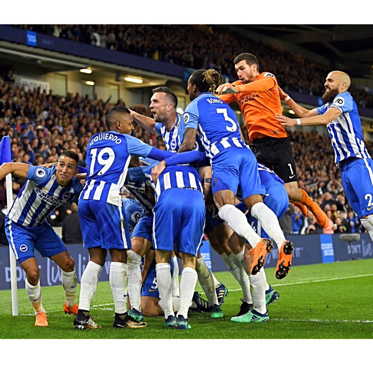 We are staying up, I said we are staying up 🎶 🎉 #Seagulls