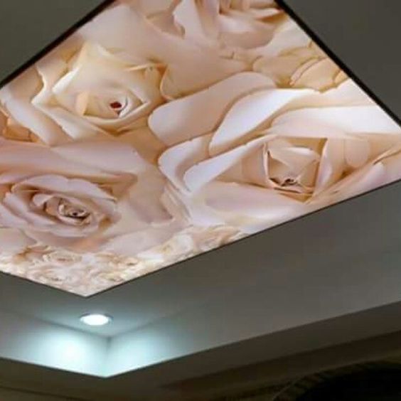 facedesigndecor's tweet photo. الاسقف الفرنسيه
          الاسقف المشدودة
                   الاسقف المضيئة

صمم سقفك بنفسك
الانسقجرام: https://t.co/IdqSaFb2wW

#ديكور_منزل #ديكورات #ديكور_داخلي #ديكور #واجهة_التصميم #الرياض #الرياض_الان #الاسقف_الفرنسيه #stretch_ceiling #التحلي_بالصبر https://t.co/OBiyy33xIA