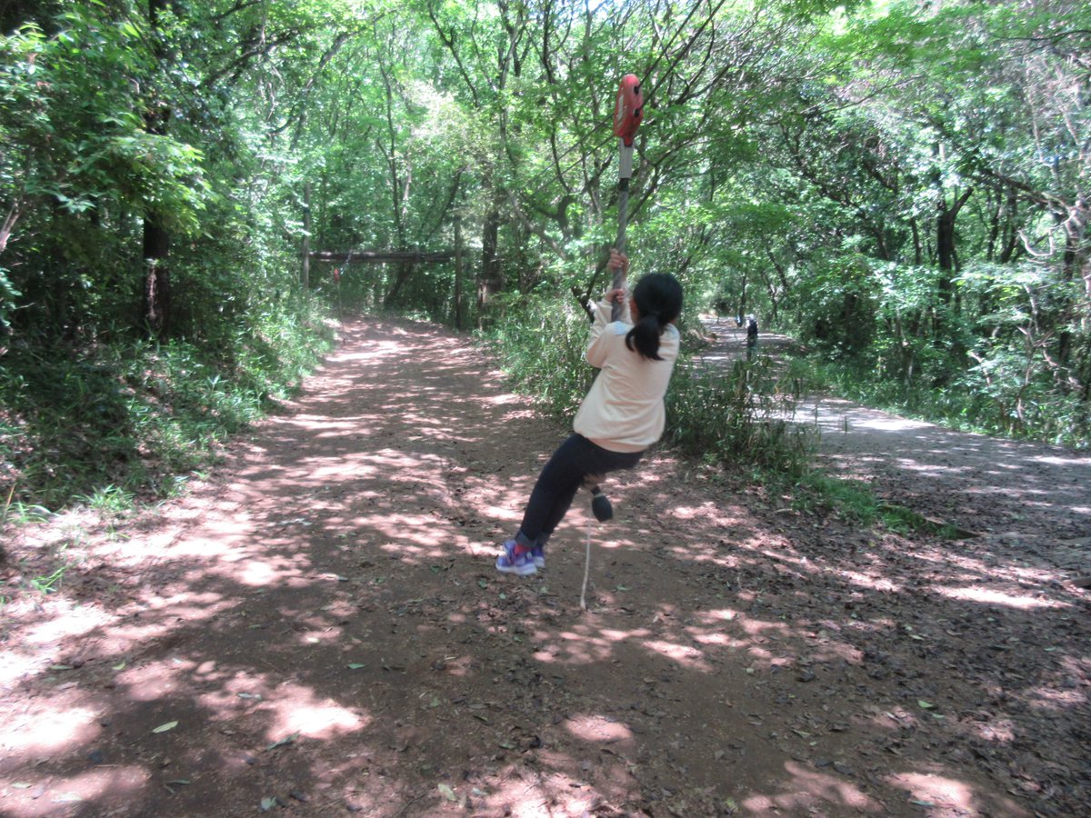 たき 熊本市の立田自然公園に孫たちを連れて歩いて行きました 片道1時間ほどの距離です 公園にはアスレチックがあり 子供たちはとても喜んでいました また 公園内の森の道を散策しました 帰りはみんなヘトヘトになっていました 立田自然公園