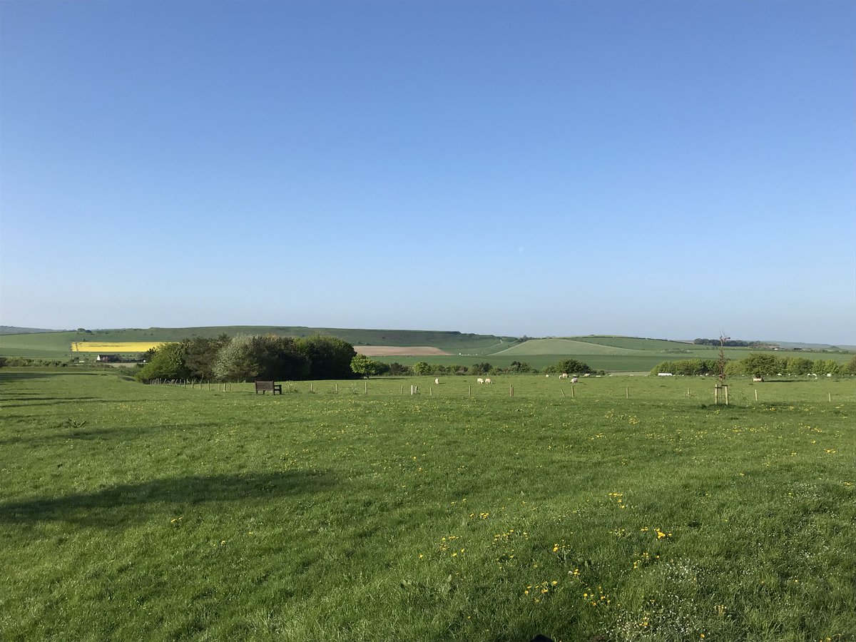 Parkers Property (@parkers_dorset) on Twitter photo Good morning! Looking forward to a busy and glorious bank holiday weekend. #Dorset <a href="/wearepoundbury/">CelebratingPoundbury</a> <a href="/LovePoundbury/">#LovePoundbury</a> Good morning! Looking forward to a busy and glorious bank holiday weekend. #Dorset <a href="/wearepoundbury/">CelebratingPoundbury</a> <a href="/LovePoundbury/">#LovePoundbury</a>