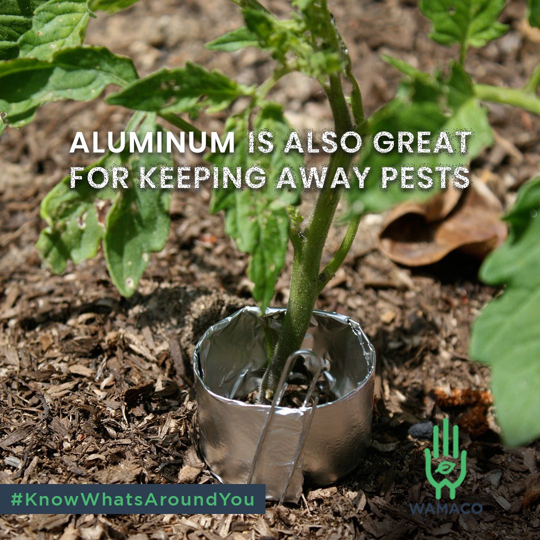 Wamaco_India's tweet photo. #2 Aluminum, one of the most popular metals around the world with uses that range from kitchen utilities to weaponry and aviation can be recycled 'forever'. The only metal to have that property.
#Environment #KnowWhatsAroundYou #May #Aluminum #Benefits #Wamaco #Security https://t.co/T7sio44J3G