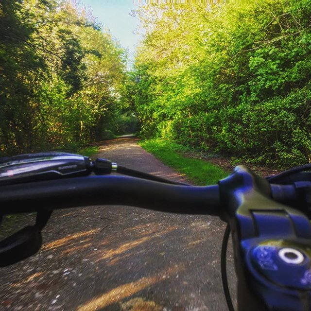 Cskoyles's tweet photo. Beautiful morning for it... ββ
#viewfrommyhandlebars #cycling #mountainbiking #mountainbike #cyclinglife #outdoors #nature #freshair #freshairtherapy #mountainbikelife #cyclingsights https://t.co/xZD39t97Zc https://t.co/EfHwC2MgKv