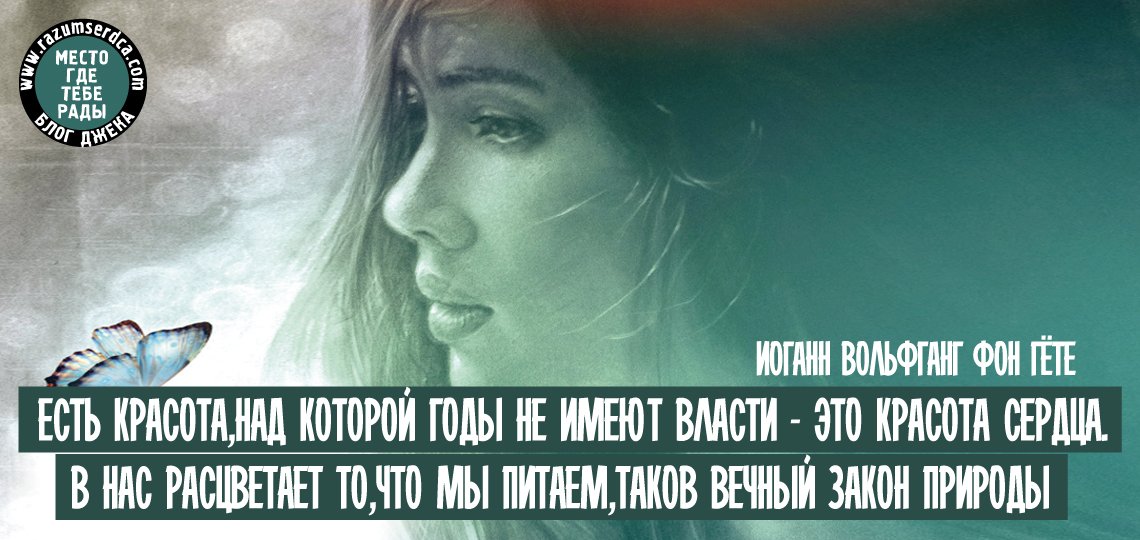 Евгений Добров tweet media