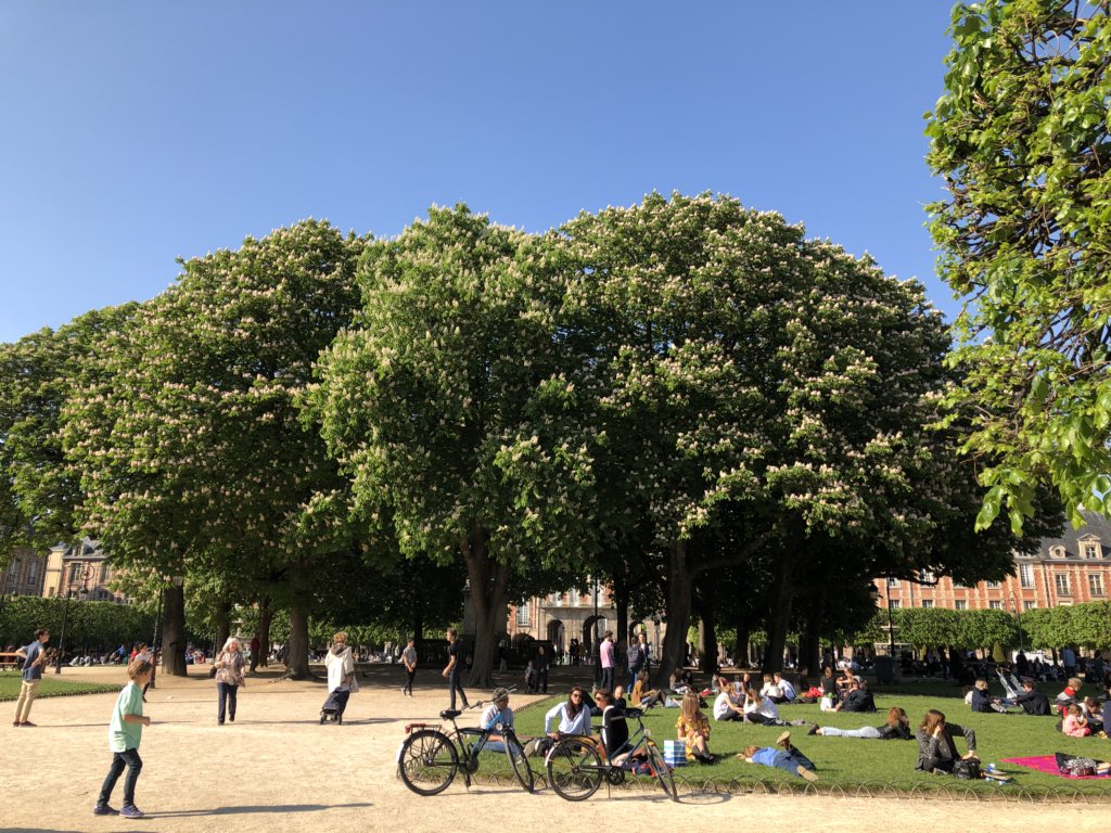 zedarchitects's tweet photo. A Two-block housing square surrounded by covered arcade and a common space for hundreds of kids to play at Place Des Vosges Paris https://t.co/tfHMtQETVr
