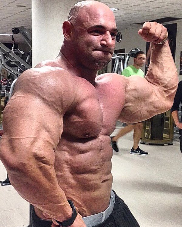 thetestozone's tweet photo. Antonello Olivieri - @nelllo977
・・・
#instafiit #motivation #fit #TFlers #fitness #gymlife #pushpullgrind #grindout #flex #instafitness #gym #trainhard #eatclean #grow #focus #dedication #strenght #ripped #swole #fitnessgear #muscle #bigbench #nocardi… https://t.co/ZQqlMYRaIS https://t.co/dHUSCmuWTM