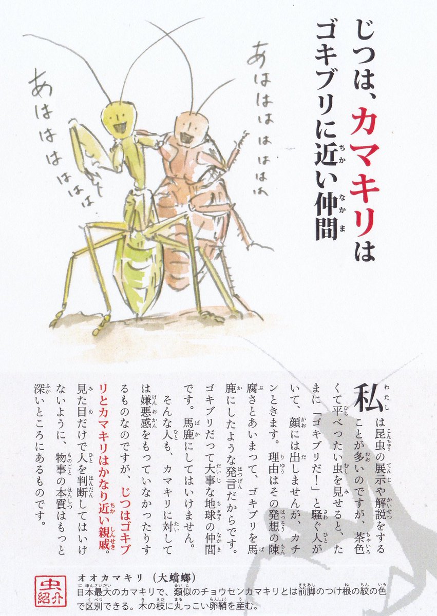 昆虫戯画はこんな本です🐞。 