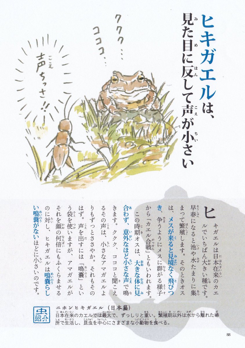 昆虫戯画はこんな本です🐞。 