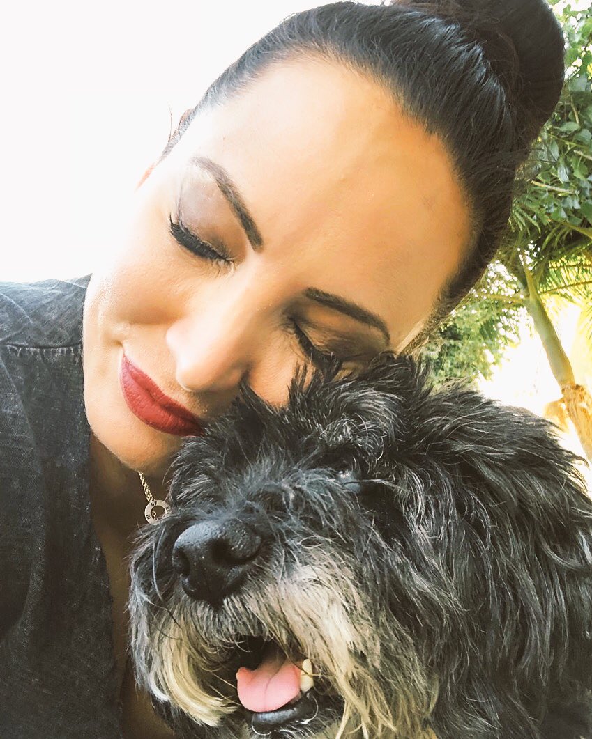 GinaGrad's tweet photo. #Angel #GeriatricPets #EarlyMorningVetAppt #SeniorDogs #MyBaby https://t.co/bHLGWODblm