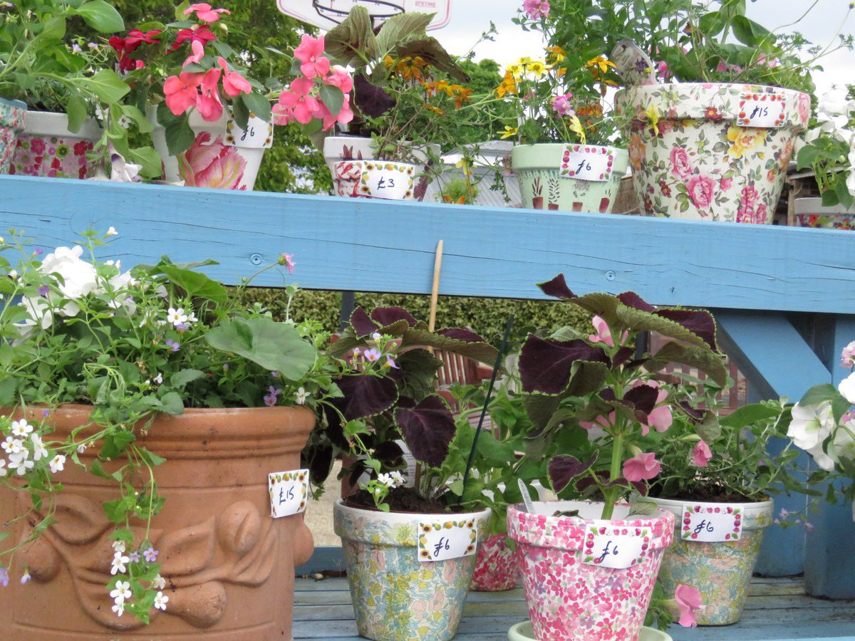 treloars's tweet photo. With a great weather forecast this weekend, thoughts are inevitably turning to the garden.  With that in mind, don't forget that it is the Friends of Treloar's annual Plant Sale next Saturday and you are most welcome to come along - all in aid of Treloar's
https://t.co/lkqjCa4AyD https://t.co/hsUsmL2UL4