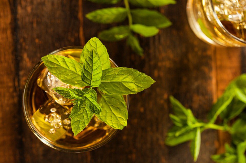 Ava Tampa (@avatampa) on Twitter photo Celebrate the <a href="/KentuckyDerby/">Kentucky Derby</a> with us! Juleps 🍃, pizza, what more do you need? 🐎🍕 #kyderby #avafresh #tampabay Celebrate the <a href="/KentuckyDerby/">Kentucky Derby</a> with us! Juleps 🍃, pizza, what more do you need? 🐎🍕 #kyderby #avafresh #tampabay