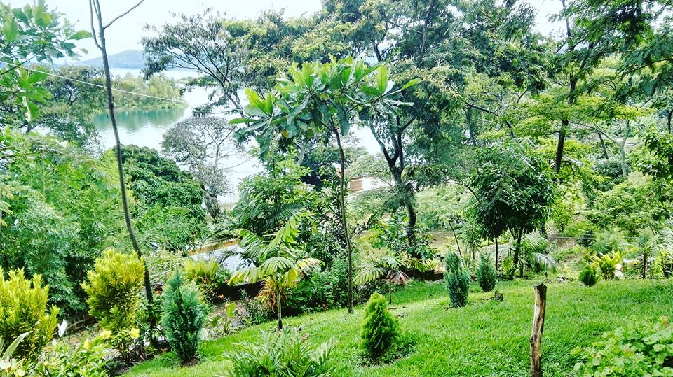 Venez visité l'ile de IDJWI (RD Congo) avec l'un de nos circuit touristique congotourstravels.com Idjwi est un petit paradis de 285 km2. Principalement habitée par les Havus à plus de 95% et les Pygmées.#RDCONGO #safari #safarilive <a href="/ArchevqueLobobo/">Archevêque Lobobo</a> <a href="/Doliyasaka/">Doli Yasaka</a> #RDC #safarilive